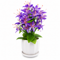 Artificial Purple Flower Plant with White Ceramic Pot