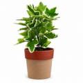 Artificial Variegated Ivy Plant with Decorative Pot