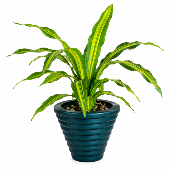 Artificial Dracaena Green Plant with Decorative Blue Pot