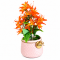 Artificial Orange Flower Arrangement in Pink Decorative Pot