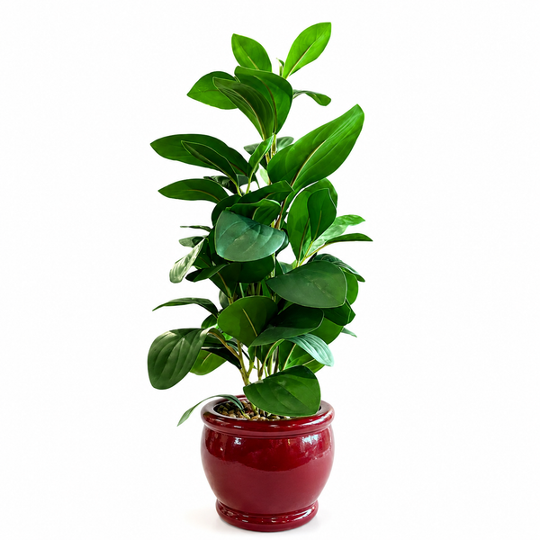 Artificial Green Leaf Indoor Plant in Glossy Red Ceramic Pot