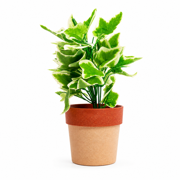 Artificial Variegated Green Leaf Plant in Terracotta Pot