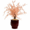 Artificial Peach Foliage Tree with Decorative Wooden Pot