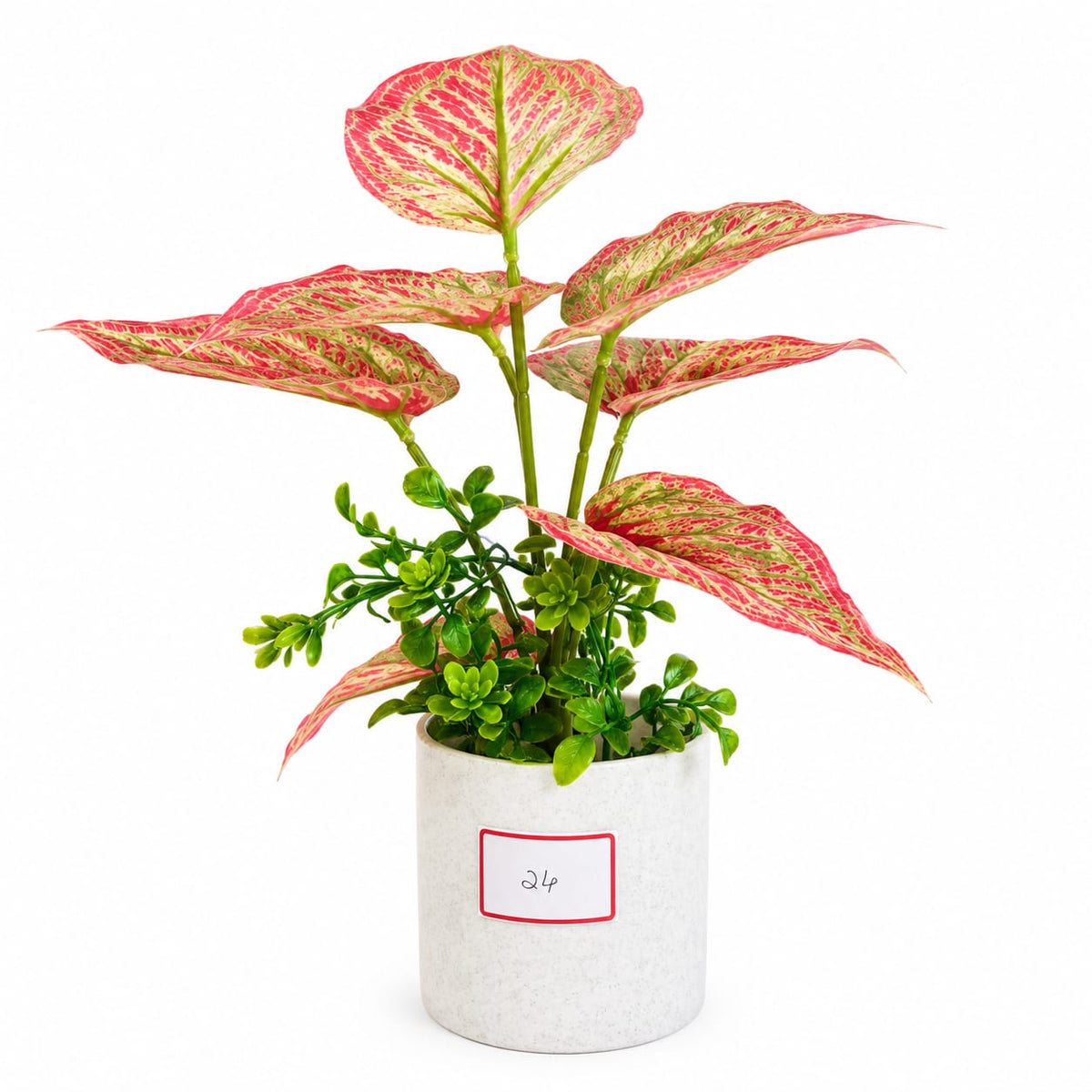 Artificial Aglaonema Plant with Decorative White Pot – Pink & Green Foliage