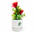 Artificial Red Tropical Flower Plant with Decorative Ceramic Pot