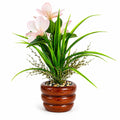 Artificial Pink Flower Plant with Decorative Wooden Planter